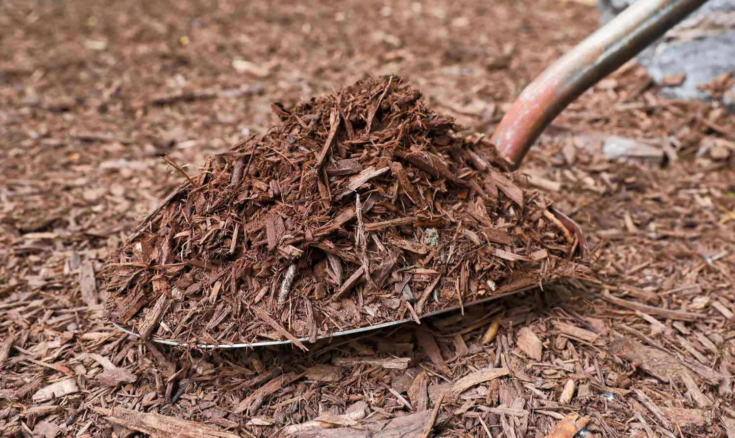 Hardwood mulch delivery